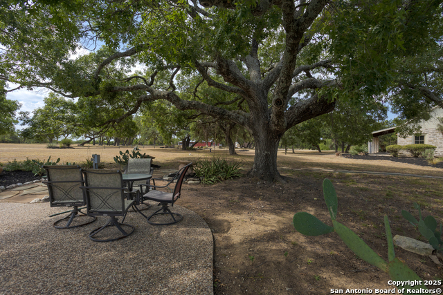 Listing photo id 30 for 597 Krause