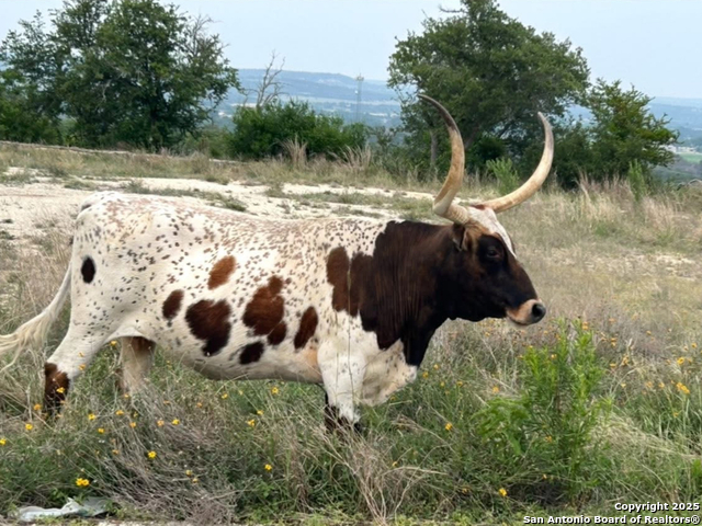 Details for Lot 71 Great Sky Ave., Kerrville, TX 78028