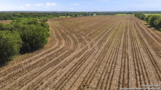 Listing photo id 9 for 4410 Ploetz  