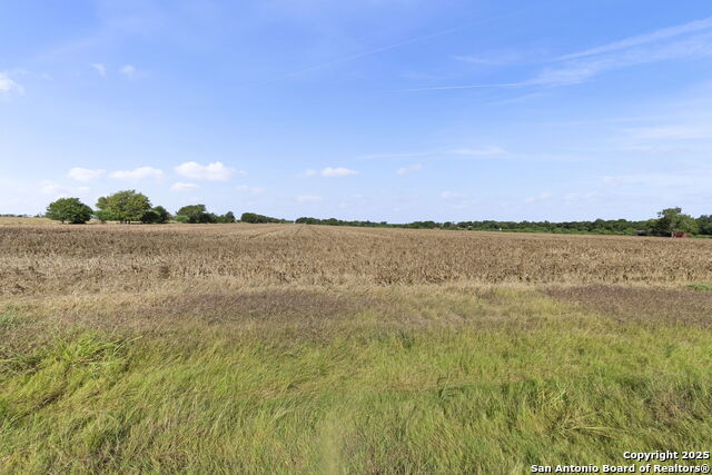 Listing photo id 12 for 4410 Ploetz  