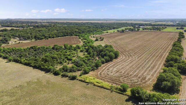 Listing photo id 6 for 4410 Ploetz  