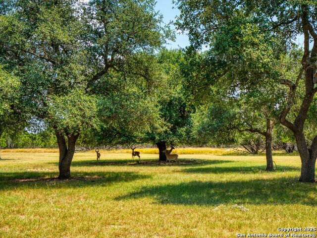 Image 35 of 71 For 181 Highland Meadows