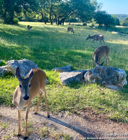 Image 39 of 44 For 2004 Lakeland Drive 5a