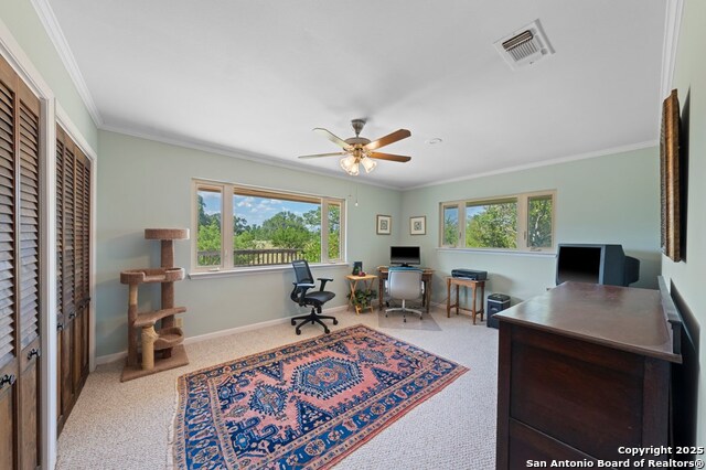 Listing photo id 8 for 113 Indian Bluff Dr.