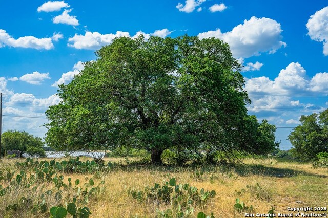 Listing photo id 31 for 113 Indian Bluff Dr.