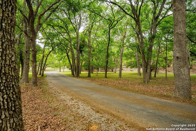 Listing photo id 46 for 113 Indian Bluff Dr.