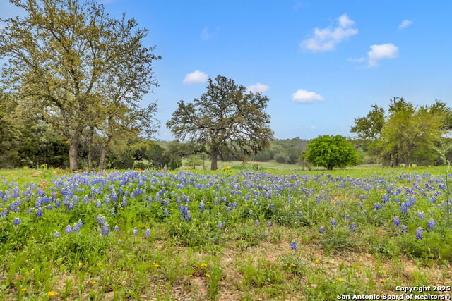 Image 37 of 44 For 123 Rocky Rd