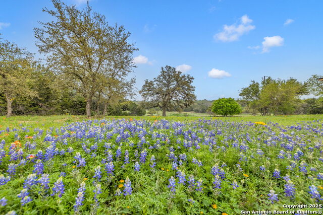 Image 38 of 44 For 123 Rocky Rd