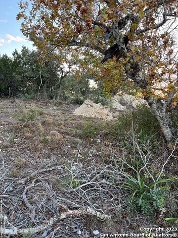 Image 13 of 17 For 000 Carson Spgs