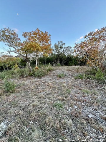 Image 14 of 17 For 000 Carson Spgs