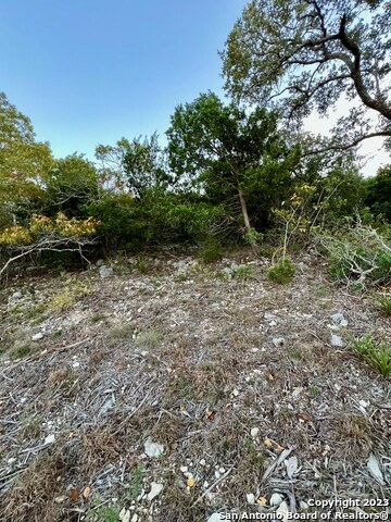 Image 3 of 17 For 000 Carson Spgs