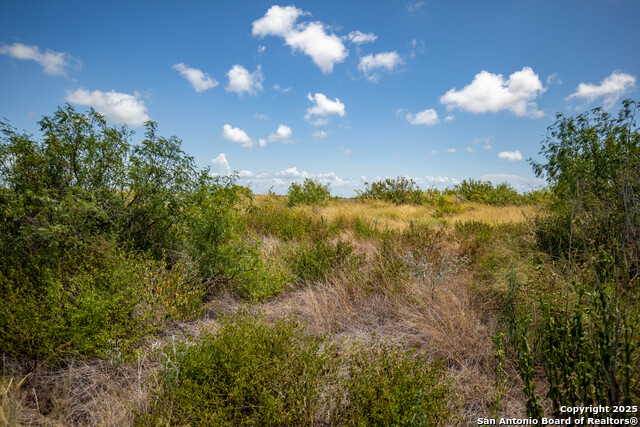 Listing photo id 29 for 602-698 Cape Velero Dr