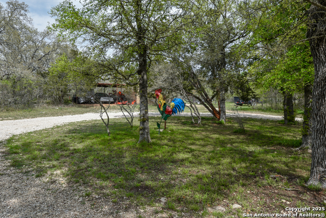 Image 32 of 44 For 2044 Cr 344  