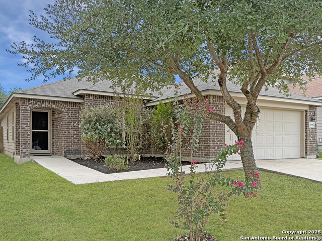 Details for 4096 Cherry Tree, Schertz, TX 78108