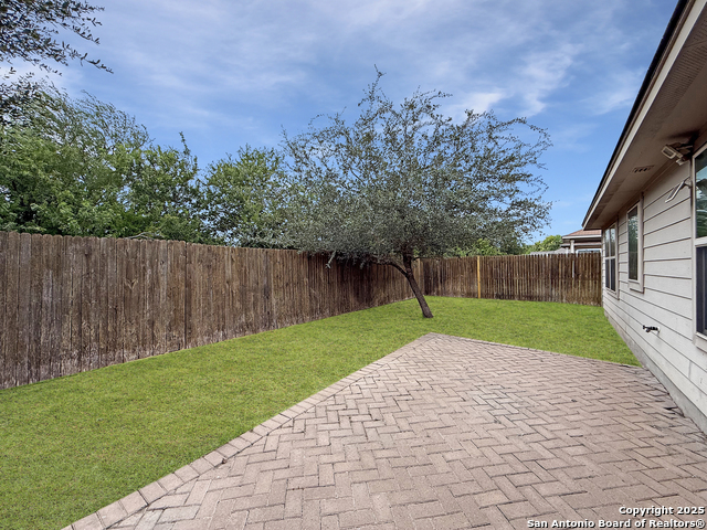 Image 19 of 20 For 4096 Cherry Tree