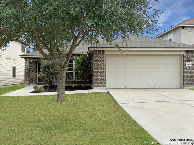 Image 3 of 20 For 4096 Cherry Tree