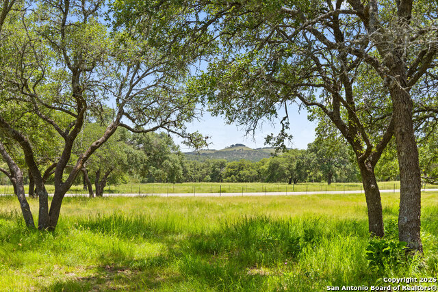 Image 33 of 65 For 5059 Trainer Wuest