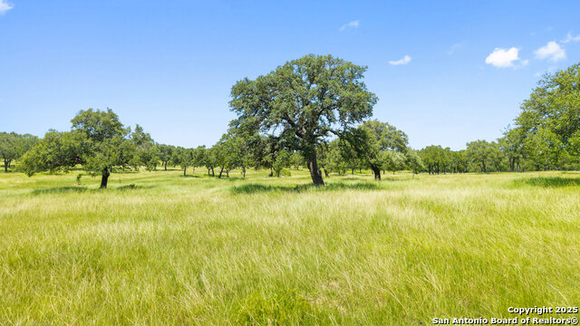 Image 35 of 65 For 5059 Trainer Wuest