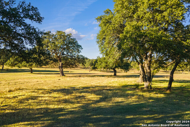 Image 36 of 65 For 5059 Trainer Wuest