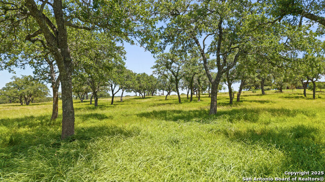 Image 59 of 65 For 5059 Trainer Wuest