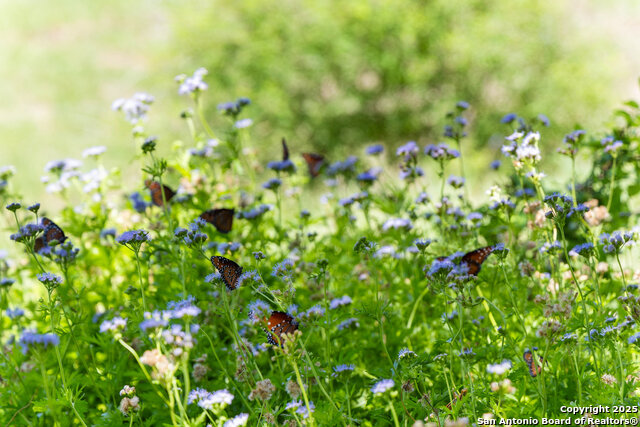 Image 64 of 65 For 5059 Trainer Wuest