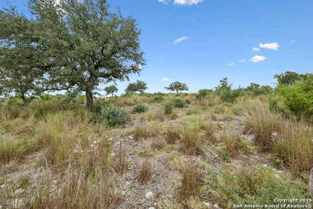Listing photo id 22 for Lot 17 Earle Oak Ave