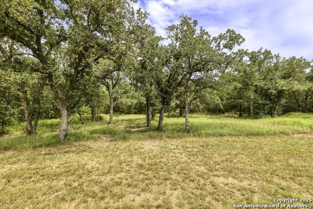Listing photo id 28 for 446 Post Oak Street