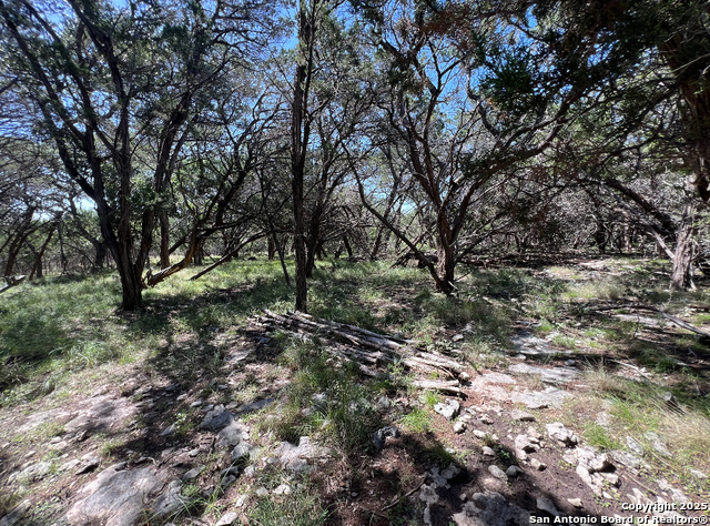 Details for Lot 115 Tbd Waterstone Parkway, Boerne, TX 78006