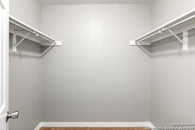 Image 17 of 19 For 12610 Uhr  310