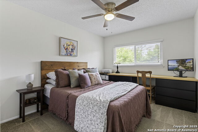 Listing photo id 19 for 5334 Walnut Vista