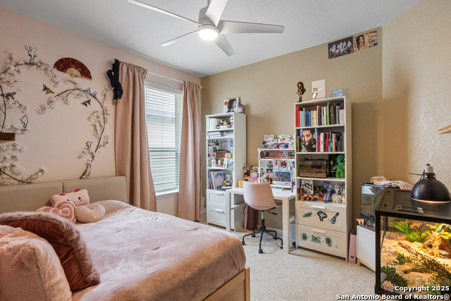 Image 12 of 39 For 338 Orion