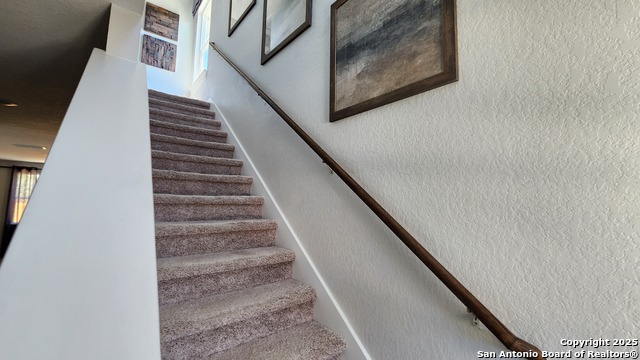 Image 7 of 17 For 5935 Hausman W 65