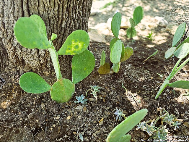 Image 4 of 20 For 11266 Park Road 37