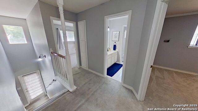 Image 28 of 35 For 20503 Oak Farm