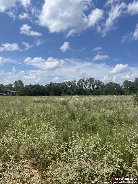 Image 5 of 10 For Lot 14 10392 Fm 476