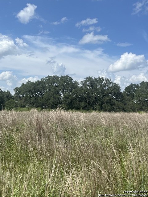 Image 6 of 10 For Lot 14 10392 Fm 476