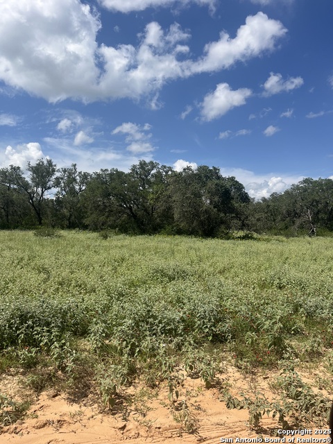 Image 9 of 10 For Lot 14 10392 Fm 476