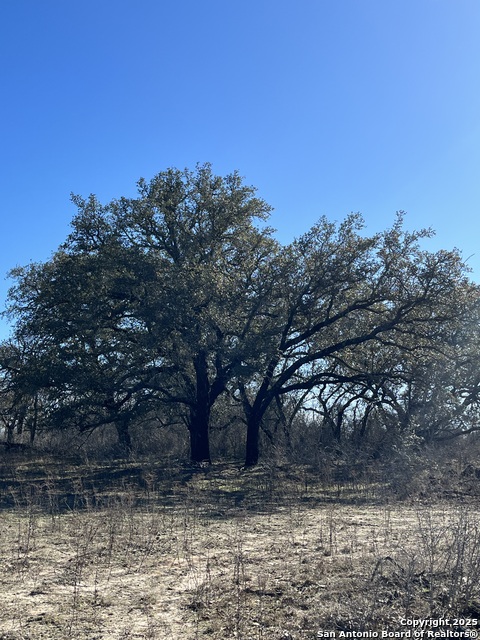 Image 10 of 16 For Lot 3 10392 Fm 476