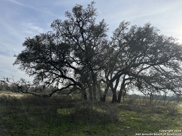 Image 16 of 16 For Lot 3 10392 Fm 476