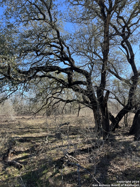 Image 9 of 16 For Lot 3 10392 Fm 476