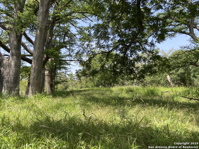 Listing photo id 1 for 412 Lebouf Rd