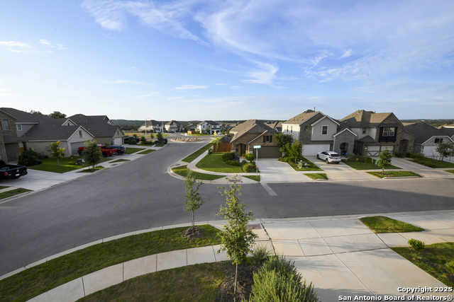 Image 24 of 46 For 2069 Flametree