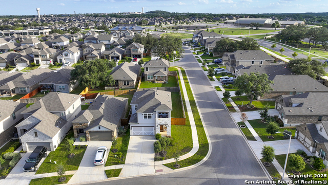 Image 44 of 46 For 2069 Flametree