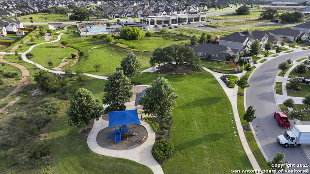 Image 46 of 46 For 2069 Flametree