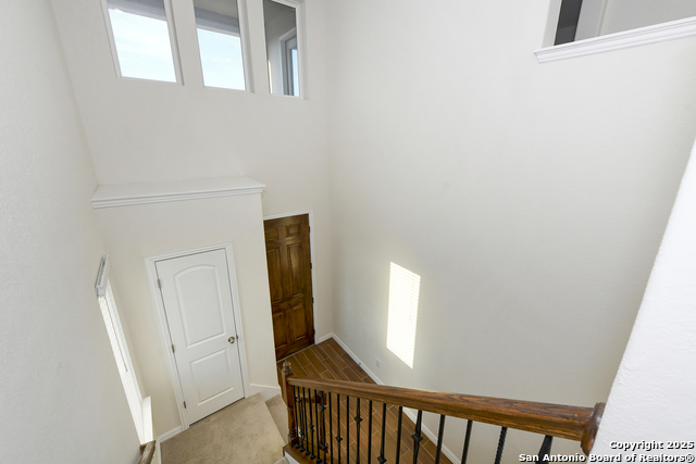 Image 8 of 46 For 2069 Flametree