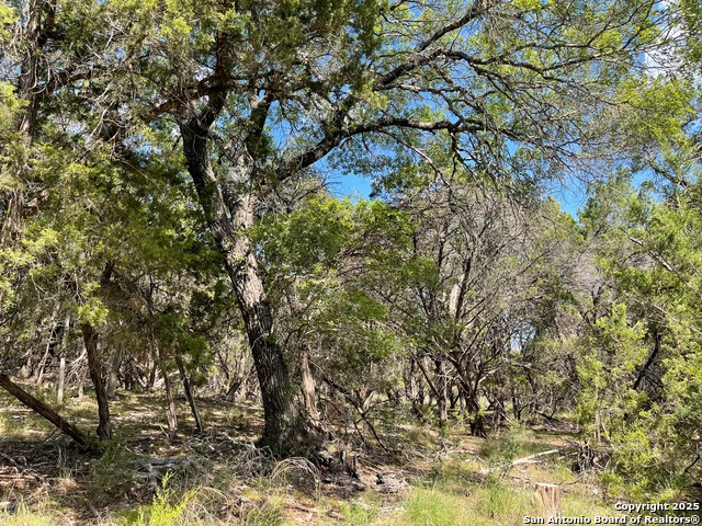 Details for Lots 1-7 Park Road 37, Lakehills, TX 78063