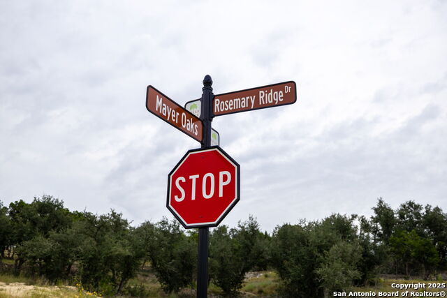 Image 6 of 20 For 593 Rosemary Ridge