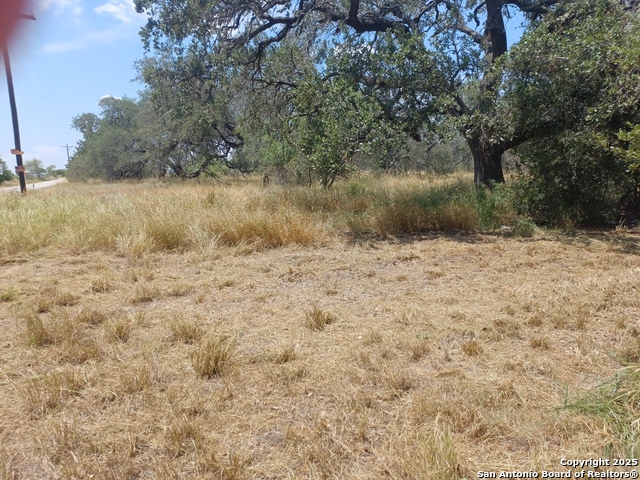 Image 2 of 4 For 000 Sh 16 & Ditto Rd