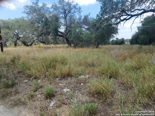 Image 3 of 4 For 000 Sh 16 & Ditto Rd