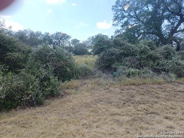 Image 4 of 4 For 000 Sh 16 & Ditto Rd